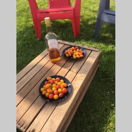 A La Croisee Des Meuniers A 5 Mn Du Puy Du Fou Villa